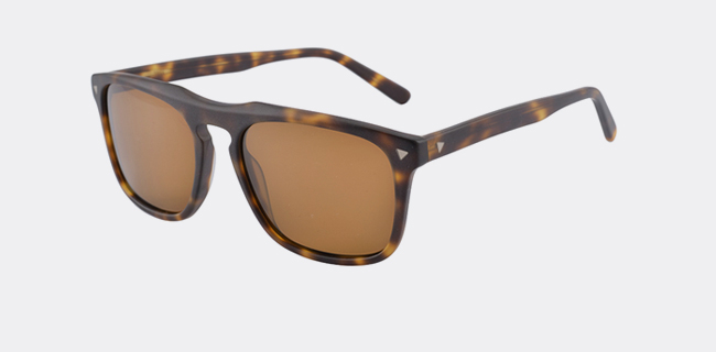 Acetate Sunglasses